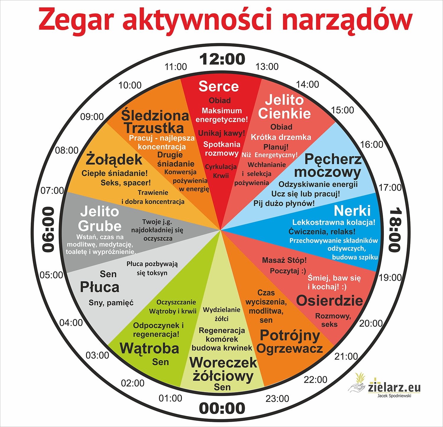 jacek zegar biologiczny 3
