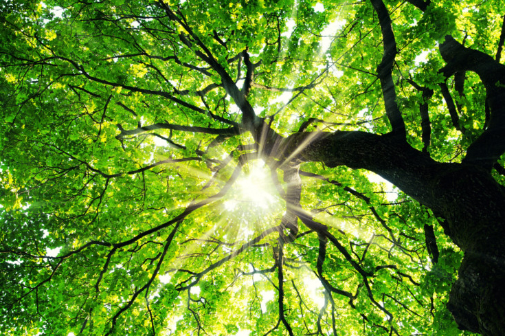 Kłopoty ze wzrokiem